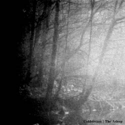 Coldstream : The Asleep